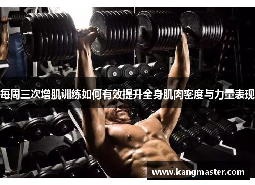 每周三次增肌训练如何有效提升全身肌肉密度与力量表现