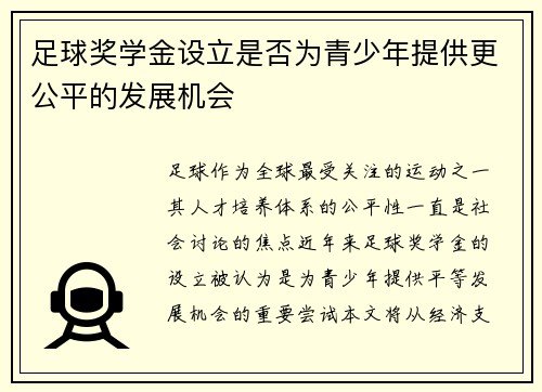 足球奖学金设立是否为青少年提供更公平的发展机会